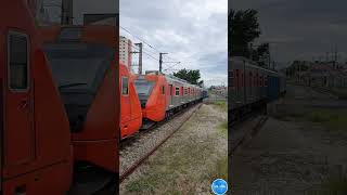 trem serie 7500 chegando na estação Autódromo