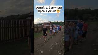 Отдых на Алтае.