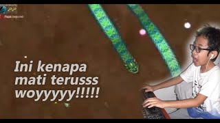 Mati Mulu Main Cacing Cacingan (Little Big Snake Gameplay Indonesia) #1