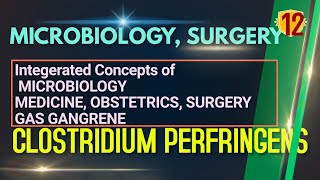 CLOSTRIDIUM PERFRINGENS, Microbiology Topic 12, Clostridium, GAS GANGRENE, NEETPG , INICET,