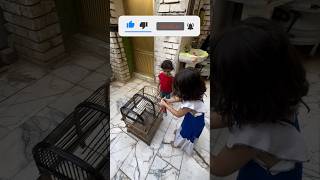 لكيت سراوي تصبغ قفص الطيور #اكسبلور_explore #اكسبلورفولو #shortvideo