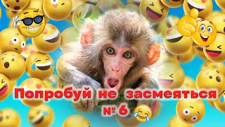 Попробуй не засмеяться 6 часть 🤣🤩👍🏻 Приколы