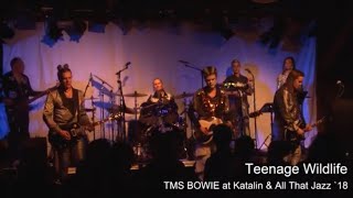 TMS BOWIE Teenage Wildlife