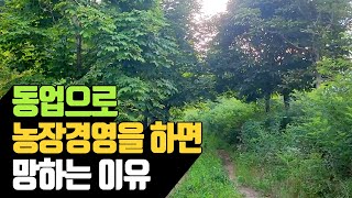 동업으로 농장경영을 하면 망하는 경우 | 나무대장🌳 나무농사의 모든것