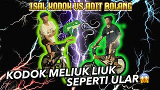 KODOK TAPI MELIUK SEPERTI ULAR😱ADIT BOLANG🆚ISAL KODOK BALAP ONTHEL BMX SURABAYA