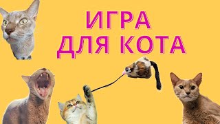 Кошка ТВ - Игра для котов "Поймай мышку". Видео для вашей кошки. Cats TV