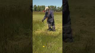 Cutting grass sound #shorts #grass #grasscutting #grasscuttingmachine #grasscutter #weedwacker #asmr