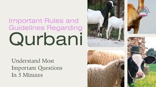 Qurbani Rules in Islam | Criteria Regarding Animals for Eid-al-Adha in Islam?