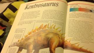 Jack (age 4) Reading Dinosaur names