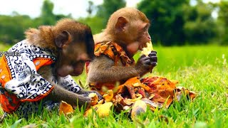 Cute baby Vy and Lele really very good at eating   happy with here is beautiful