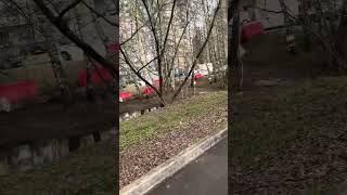 Управа района Северный города Москвы отмывает деньги и перекладывает новые бордюры!!!