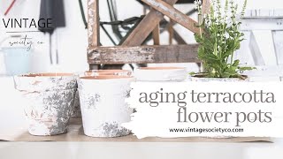 Aging Terra-cotta Flower Pots