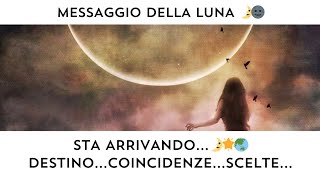 🔮 MESSAGGIO DALLA LUNA NUOVA 🌚 STA ARRIVANDO!🔮🧿❤️🍀 DESTINO...COINCIDENZE...SCELTE!♾️⏳️