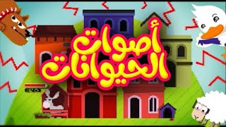 اصوات الحيوانات - طيور الجنة Reversed