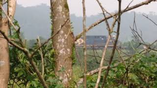 locomotiva da MRS logística passando na variante em Rio Grande da Serra sp sentido Suzano SP