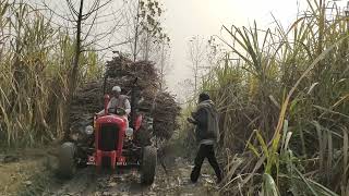 Massey 1035 गिला होने की वजह से टायर स्लीप कर रहे हैं।