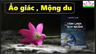 Tâm linh và Suy ngẫm : Ảo giác, Mộng du