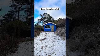 sandakphu snowfall again darjeeling snowfall #darjeeling #sandakphu #travel #ytshortsindia