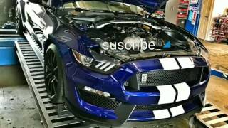 SHELBY GT350 WITH KOOKS LONG TUBE HEADERS, DYNO, IDLE, EXHAUST REVS