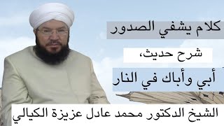 ما معنى قول النبي صلى الله عليه وسلم _ أبي وأباك في النار؟ما حكم الحديث