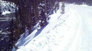 Yellowstone Ski 1