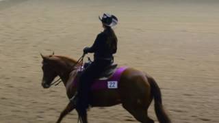 NOVICE AMATEUR RANCH RIDING. IAF 6854