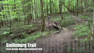 Walk into Paradise Gatlinburg Trail Great Smoky Mountains National Park