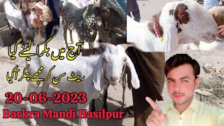 Ajj me Bakra Lena gya | Bakra Mandi today Rate High/Low?