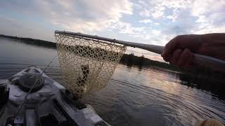 Catching Some Evening Bass on Topwater and Senkos