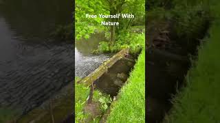 Free yourself with nature #nature #landscape #landscapephotography #youtubeshorts #shortvideo #short