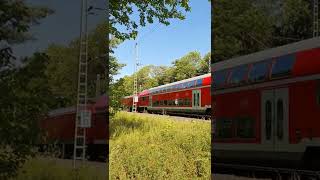 Deutsche Bahn DB RegionalBahn Magdeburg - Braunschweig - pass in nice lighting #trains #shorts