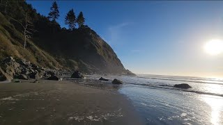 Banana Slug Trail to Beach Sunset! Relaxing Waves for Sleep, Study, Calming White Noise Insomnia