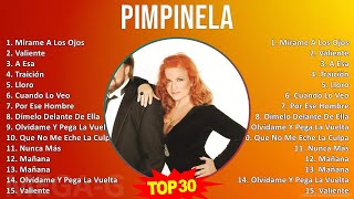 P i m p i n e l a 2024 MIX Grandes Éxitos 1 HORA ~ 1980s Music ~ Top Latin, Latin Pop Music