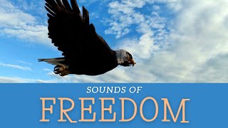 Sounds Of Freedom