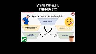 Symptoms of acute pyelonephritis #kidneyhealth #pyelonephritis #kidneydisease #kidney