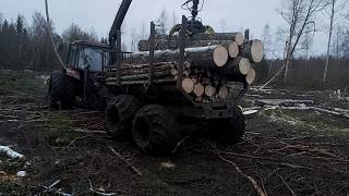 MTZ in forest