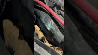 Vw sharan 2011 wiring problem, fast fix