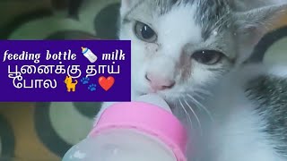 kitten🐈🐾❤feeding milk bottle 🍼he feels as a mother🐈பூனைகள்😺👌தன்னை தானே சுத்தம் செய்து கொள்ளும் ஜீவன்