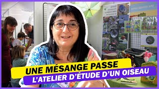 Une mésange passe : l'atelier d'explication de l'étude sur la mésange