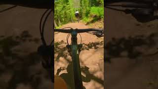 Sundance Shredding MTB