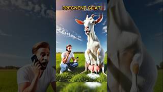 pregnant goat's rescue #youtubeshorts #shorts #pregnant #goat #help #story #animals #pregnantgoat