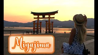 👒DAY TRIP FROM KYOTO OR HIROSHIMA TO JAPAN'S MOST BEAUTIFUL TEMPLE AT SUNSET 🏮 with Cutest Deer 🦌🌅