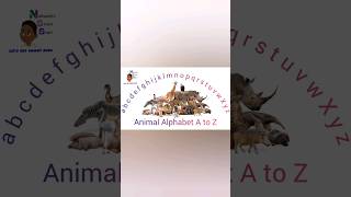 Learning the Alphabet with our Animal Friends 2 | Nathaniel's Smart Start Let's Get Smart Kids #abcd