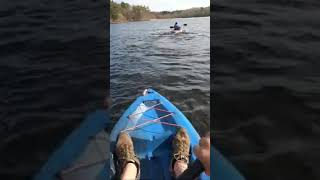 This Happen To You When They See You Catching Fish ?🐟  #crappiefishing #kayak #shorts #shortvideo