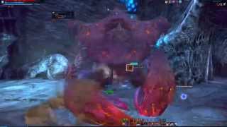 Tera online - BAM solo - Warrior (lvl 46 Clawrider Overseer)