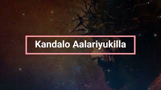 Kandalo Aalariyukilla Lyrical | Pr.Anil Adoor | Malayalam Christian Song | Way of The Cross