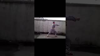 Shàolín 少林 Dà Tōng Bì Quán First Road 大通臂拳 #shorts #kungfu #shaolin