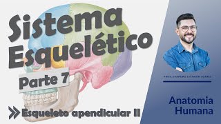 Sistema Esquelético - Aula 07 - Esqueleto apendicular II - Anatomia Humana