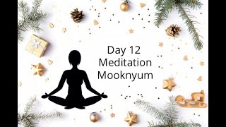 Day 12 Meditation Mooknyum (12 Days of Kickmas series)