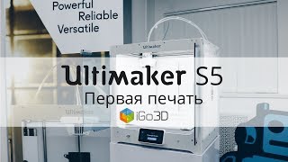 Ultimaker S5. Первая печать.